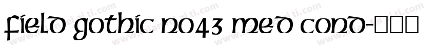 Field Gothic No43 Med Cond字体转换